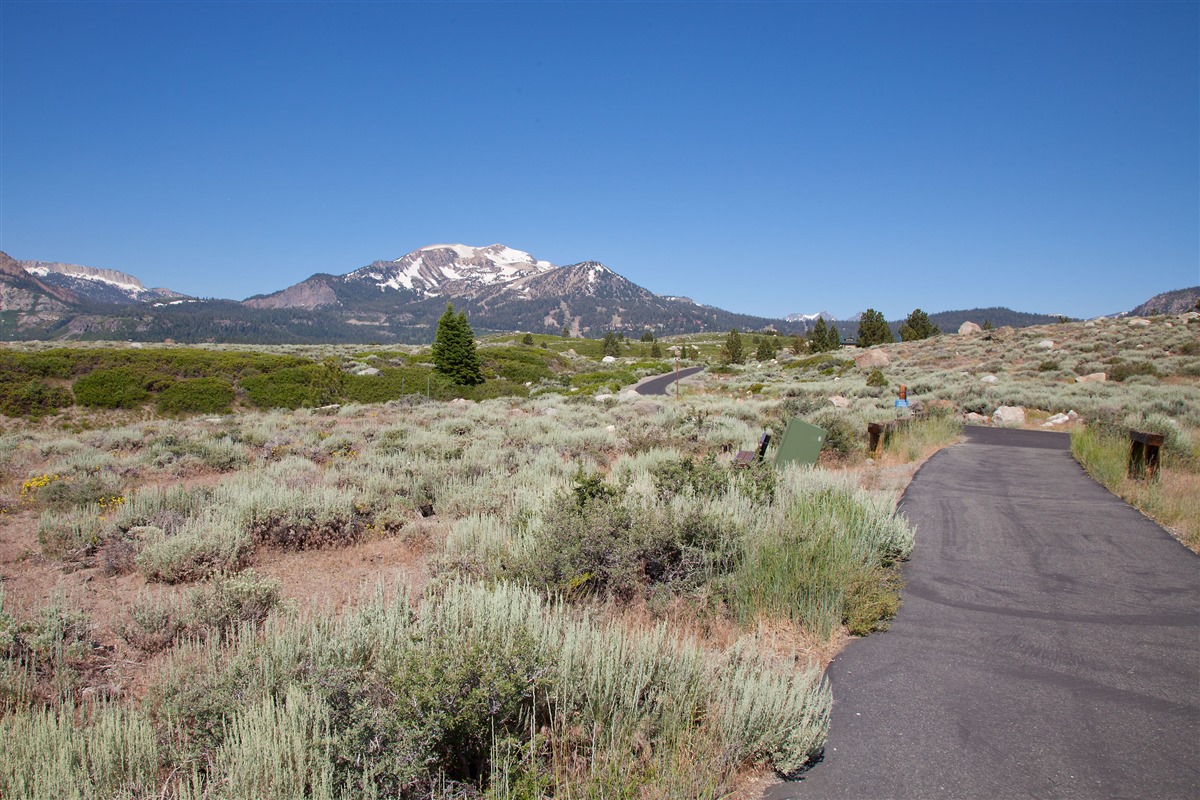 Mammoth Lakes Trail System | Sherwins Vista